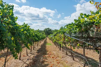 1758 Lincoln Smith Road, Round Mountain, TX 78663 - Photo 40