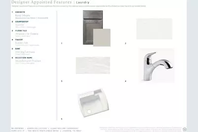 1321 White Mistflower Drive, Leander, TX 78641 - Photo 8