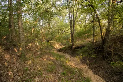 760 Dowdy Road, Seguin, TX 78155 - Photo 4