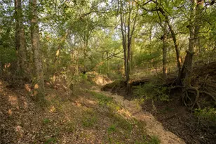 760 Dowdy Rd, Seguin, TX 78155 - Photo 4