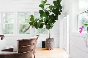 16429 Red Wagon Ln, Leander, TX 78641 - Photo 12