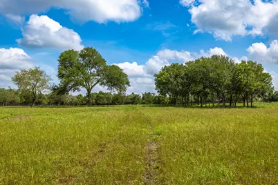 2112 (Tract #4) Baca Loop, Flatonia, TX 78941 - Photo 8
