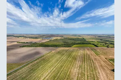 1451 Cr 483, Taylor, TX 76574 - Photo 4