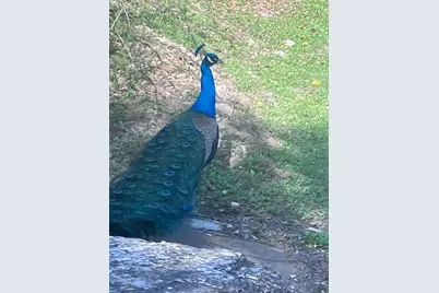 15306 Oklahoma Street, Austin, TX 78734 - Photo 20