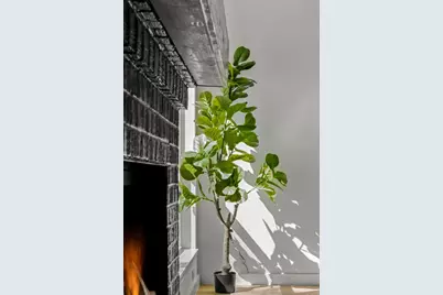 3507 Lovage Drive, Austin, TX 78727 - Photo 14