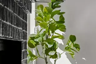 3507 Lovage Dr, Austin, TX 78727 - Photo 14