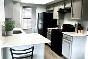 5509 Thunderbird St, Lago Vista, TX 78645 - Photo 4