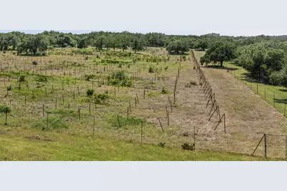 1306 Hidden Springs Drive, Salado, TX 76571 - Photo 30