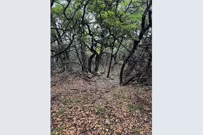 N/A Windy Hills Road, Dripping Springs, TX 78620 - Photo 14
