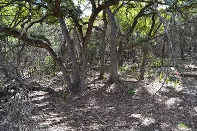 223 Pleasant Valley Road, Wimberley, TX 78676 - Photo 4