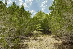 0000 County Road 330, Bertram, TX 78605 - Photo 18