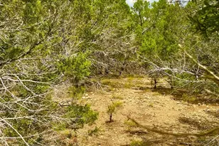 0000 County Road 330, Bertram, TX 78605 - Photo 30