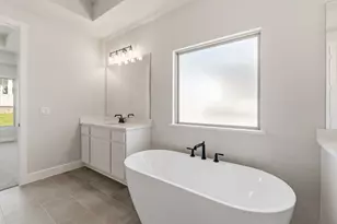 117 Meadow Beauty Ln, Georgetown, TX 78633 - Photo 18
