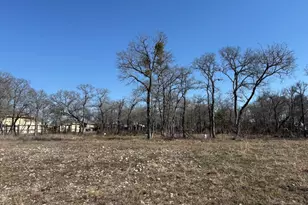 121 Pink Dahlia Dr, Dale, TX 78616 - Photo 1