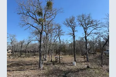 121 Pink Dahlia Drive, Dale, TX 78616 - Photo 6