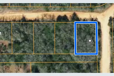 Tbd Navarro Drive, Hilltop Lakes, TX 77871 - Photo 2