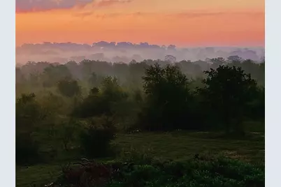 569 Tbd Burdette Wells Road, Lockhart, TX 78644 - Photo 16