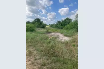 569 Tbd Burdette Wells Road, Lockhart, TX 78644 - Photo 12