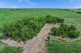 12500 Felder Ln, Coupland, TX 78615 - Photo 10
