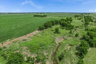12500 Felder Ln, Coupland, TX 78615 - Photo 14