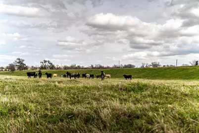 121 Mechelle Street, Smithville, TX 78957 - Photo 8