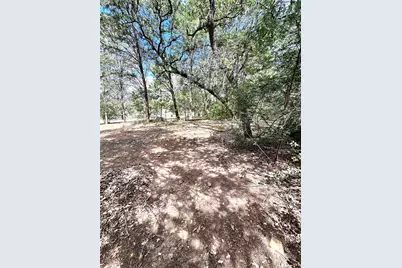 117 Shoshoni Drive, Smithville, TX 78957 - Photo 30