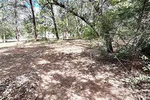 117 Shoshoni Dr, Smithville, TX 78957 - Photo 30