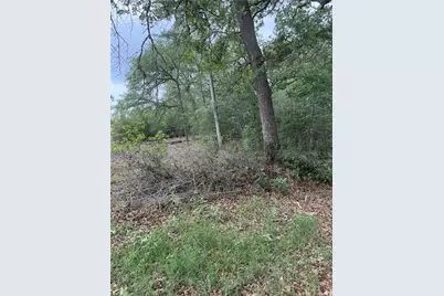 Lots 69 and 70 Kaelepulu Drive, Bastrop, TX 78602 - Photo 6