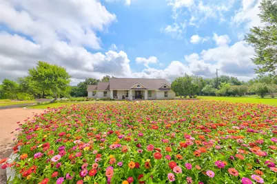 404 Mustang Way, Georgetown, TX 78633 - Photo 4