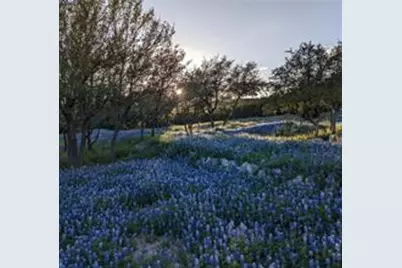 4115 Noon Day Cove, Spicewood, TX 78669 - Photo 36