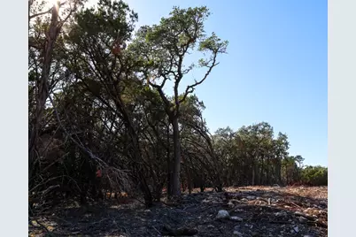 3101 - 1 Longhorn Trail, Wimberley, TX 78676 - Photo 4