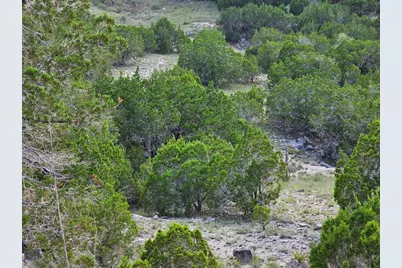 20208 Thurman Bend Road, Spicewood, TX 78669 - Photo 16
