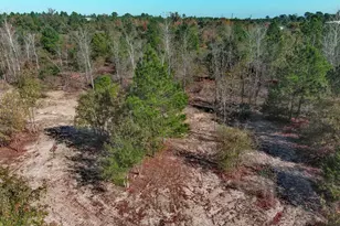 123 Lariat Ct, Bastrop, TX 78602 - Photo 36