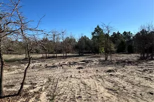 123 Lariat Ct, Bastrop, TX 78602 - Photo 32