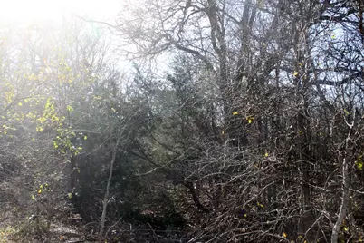 100 Track Road Highway, Dale, TX 78616 - Photo 12