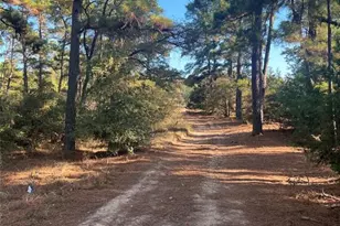 Tbd Pine Lodge Dr, Bastrop, TX 78602 - Photo 1