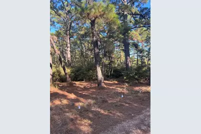 Tbd Pine Lodge Drive, Bastrop, TX 78602 - Photo 2