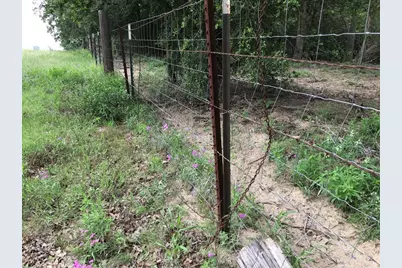 1672 Tract 1 Sayers Road, Bastrop, TX 78602 - Photo 6