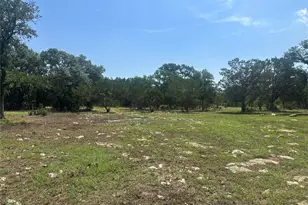 543 Narrows Rd, Blanco, TX 78606 - Photo 12