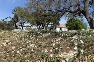 543 Narrows Rd, Blanco, TX 78606 - Photo 34