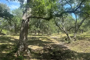 543 Narrows Rd, Blanco, TX 78606 - Photo 8