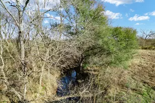 Tbd County Road 721, Groesbeck, TX 76653 - Photo 18