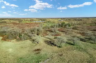 Tbd County Road 721, Groesbeck, TX 76653 - Photo 6
