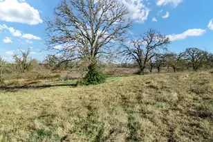 Tbd County Road 721, Groesbeck, TX 76653 - Photo 8