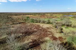 Tbd County Road 721, Groesbeck, TX 76653 - Photo 16