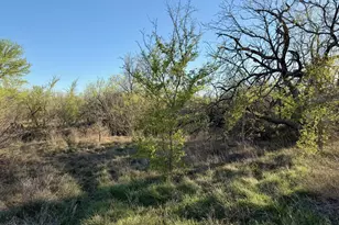 14 Spanish Oaks Blvd, Lockhart, TX 78644 - Photo 6