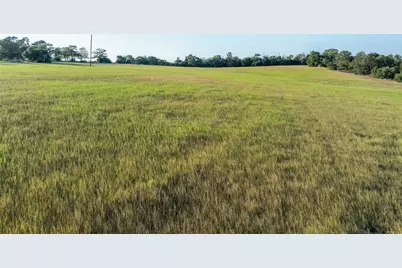 3419 County Road 309, Lexington, TX 78947 - Photo 4