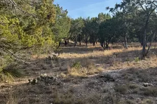 20003 Continental Cove, Leander, TX 78645 - Photo 2