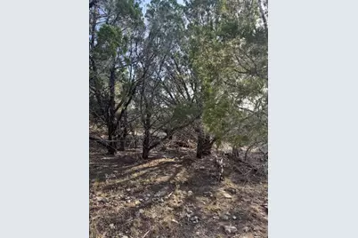 20003 Continental Cove, Leander, TX 78645 - Photo 1