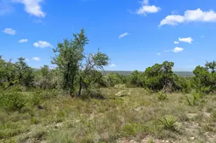 31842 Mirela Ann Rd, Dripping Springs, TX 78620 - Photo 1